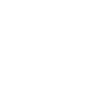System Professional