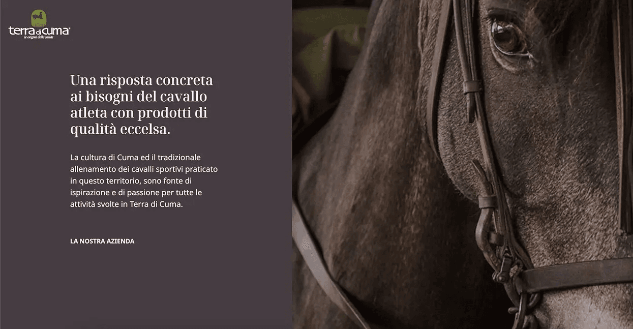 Column 4, Position 3